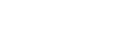 Nelz logo